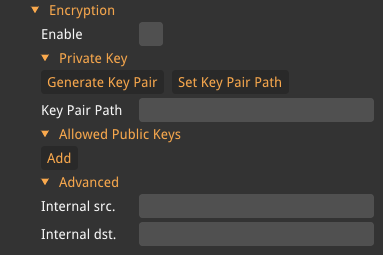 remote streamer encryption